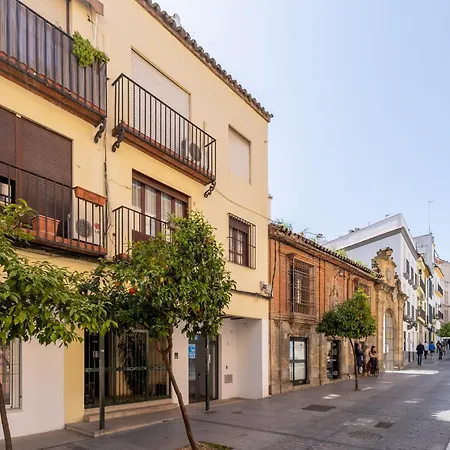 Patio De San Pablo 14 شقة